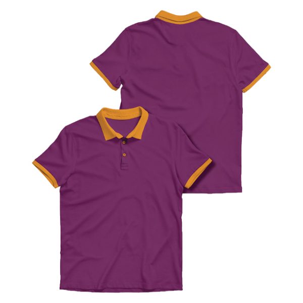 2 COLORS POLO SHIRTS - صورة 3